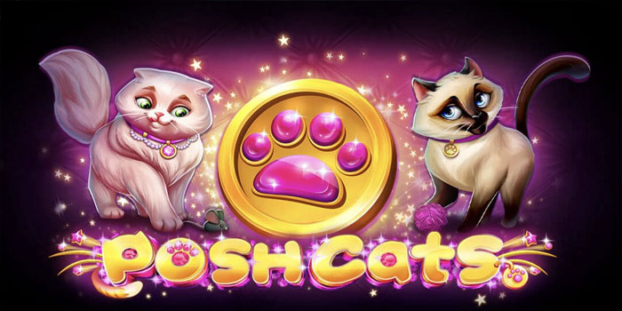Tips Ampuh Raih Jackpot Seketika di Slot Posh Cats