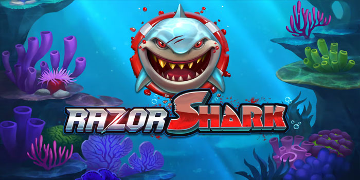 Panduan Lengkap Strategi Menang di Slot Razor Shark